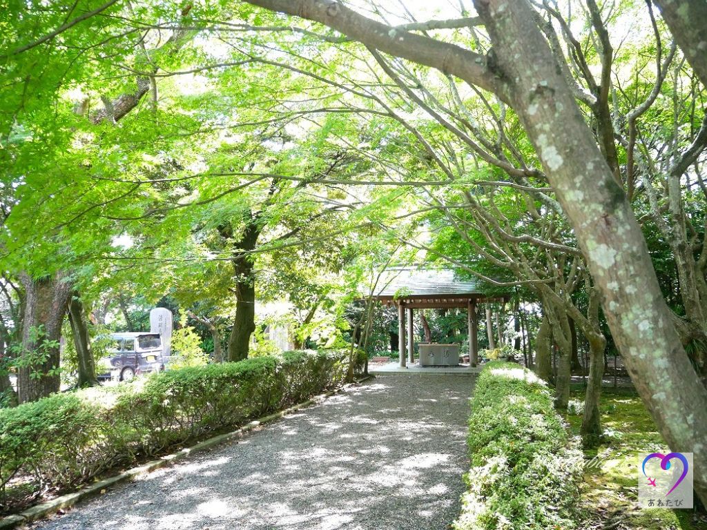 the autumn leaf-lined approach to agatai shrine and the chozuya